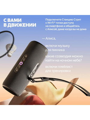 Яндекс станция Стрит YNDX-00030BLK Black фото №3