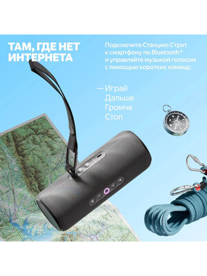 Яндекс станция Стрит YNDX-00030BLK Black фото №4