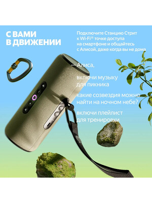 Яндекс станция Стрит YNDX-00030GRN Green фото №5